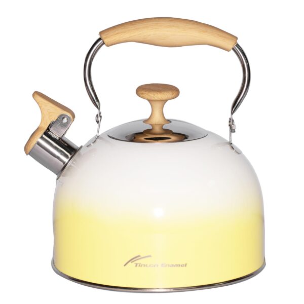 304 Stainless Steel Whistling Tea Kettle - 3.1L Stove Top Teapot Coffee Pot