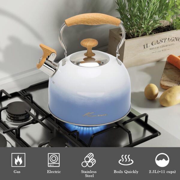 304Stainless Steel Whistling Tea Kettle - 3.1L Stove Top Teapot Coffee Pot - Image 2